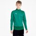 Bluza męska teamGOAL 23 Training 1/4 Zip Top Puma - zielona