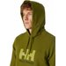 Bluza męska HH Hoodie Logo Helly Hansen - olive green