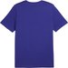 Koszulka męska Essentials+ 2 Colour Logo Tee Puma - Lapis Lazuli