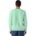 Bluza unisex Fitz Roy Icon Uprisal Crew Patagonia - Rinsed Green