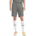 Spodenki męskie teamGOAL 23 Casuals Puma - szare