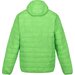 Kurtka męska Hooded Hillpack Regatta - jasmine green
