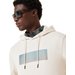 Bluza męska Duality B1B Po Hoodie Oakley - mist