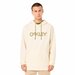 Bluza męska B1B PO Hoodie 2.0 Oakley - arctic white