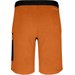 Spodenki męskie Lavaredo Hemp Train Salewa - pomarańczowy