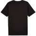 Koszulka męska Graphics Box Tee Puma - black