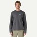 Bluza męska Applied Imagination Wildrise Crew Patagonia