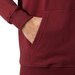 Bluza męska Nord Graphic Pull Over Hoodie Helly Hansen - mars red