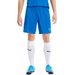 Spodenki męskie teamGOAL 23 Puma - niebieskie