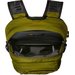 Plecak Borealis Classic 29L The North Face - Forest Olive-TNF Black-NPF