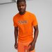Koszulka męska Dyna-Mix Graphic Tee Puma - pomarańczowy