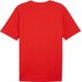 Koszulka męska teamRISE Logo Jersey Cotton Puma - Red-PUMA White