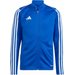 Bluza juniorska Tiro 23 League Training Adidas - niebieski