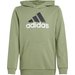 Bluza juniorska Essentials Two-Colored Big Logo Cotton Hoodie Adidas