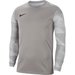 Bluza bramkarska męska Park IV Nike - szara