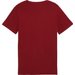 Koszulka juniorska ESS Block Tee B Puma