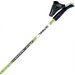 Kije nordic walking Stride Vario S-9.6 Gabel - zielone