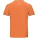 Koszulka męska Tech II Tee Dare2B - burnt orange