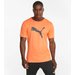 Koszulka męska Individual Rise Logo Neon Puma