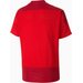 Koszulka juniorska teamGOAL 23 Training Jersey Puma - czerwona