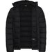 Męska kurtka Wild Pass Down HOODY M Rds Jack Wolfskin