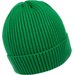 Czapka Beanie Pitbull Dock Pitbull West Coast - green