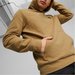 Bluza męska ESS Elevated Hoodie Puma - brązowa