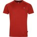 Koszulka męska Accelerate Tee Dare2B - Tuscan red