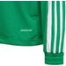 Bluza juniorska Squadra 21 Training Youth Adidas - zielony