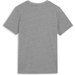 Koszulka juniorska TeamGOAL Casuals Tee Puma - Medium Gray Heather-Puma White