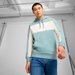 Bluza męska Ess Block Hoodie TR Puma - Green Moon