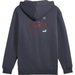 Bluza męska Power Graphic Full Zip Hoodie FL Puma - szary