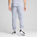 Spodnie dresowe męskie Essentials 2 Color No.1 Logo Puma - Cool Weather