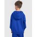 Bluza chłopięca TSWSM1945 4F - kobalt