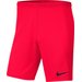 Spodenki juniorskie Dry Park III NB Nike - czerwone II