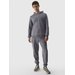 Bluza męska 4FWMM00TSWSM1464 4F - szary