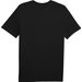 Koszulka męska Essentials Poly Tee Puma - black
