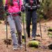 Kije nordic walking Carbon 3 Sections Outtec - Carbon 3 czarne
