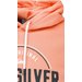 Bluza męska Circle Up Hood Quiksilver - Canyon Clay