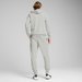 Dres męski Hooded Sweat Suit Puma - Light Gray Heather