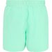 Spodenki kąpielowe męskie Mawson III Regatta - ice green/sonic blue