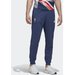 Spodnie dresowe męskie Team Great Britain Adidas
