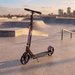Hulajnoga dla dzieci ST1600 ALU Chrome Xride - multi
