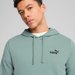 Bluza męska Essentials Small No.1 Logo Puma - green