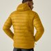 Kurtka puchowa męska Hooded Marizion Regatta - wood brown