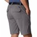 Spodenki męskie Silver Ridge Utility Columbia - City Grey