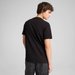 Koszulka męska Graphics Bonsai Puma - black