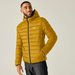 Kurtka puchowa męska Hooded Marizion Regatta - wood brown