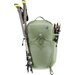 Plecak Trail 25L Deuter - grove-ivy