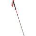 Kije trekkingowe Spider FS Viking